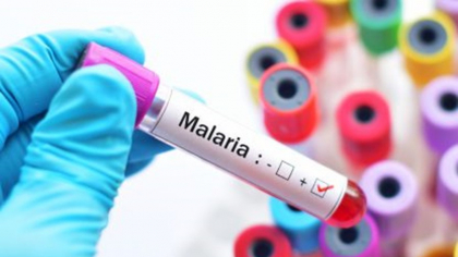 Specialiştii nu exclud posibilitatea existenţei unui focar de malarie în România. „Considerăm că este posibilă o transmitere locală”