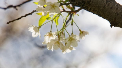 Cum va fi vremea mâine. Prognoza meteo pentru miercuri, 14 mai 2025