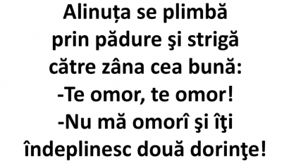 Bancul începutului de săptămână | Alinuța, la plimbare în pădure