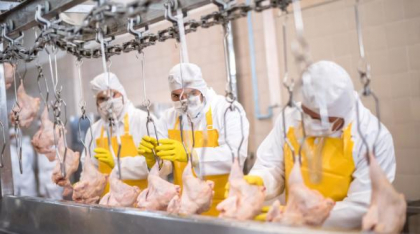 O nouă fabrică modernă de procesare a cărnii pune România pe harta exporturilor. Proiectul valorează aproximativ 80 de milioane de euro