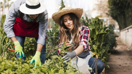 Cum amenajezi corect curtea de la casă pentru a avea o grădină bio plină de legume și plante aromatice. Trucul genial care transformă locul într-o oază de liniște, relaxare și sănătate