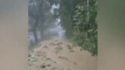 Cod roșu de vijelii în 2 județe din România. Rafalele puternice au făcut dezastre pe străzi și gospodării