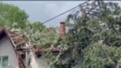 „Nenorocire, sfârșitul lumii!”. Pagube de milioane de lei în Siania după furtuna puternică. Și Castelul Peleș a fost avariat