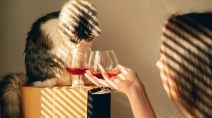 Cea mai bătrână pisică din lume a trăit cu o dietă mai puțin obișnuită. Pentru ce primea vin roșu la fiecare două zile