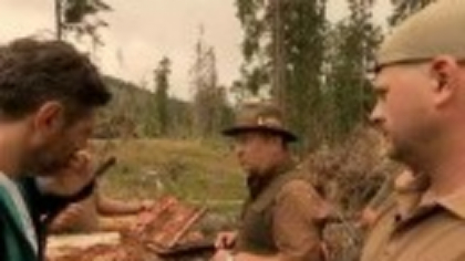 Ipidele au făcut ravagii în pădurile din Apuseni. Pădurarii nu intră de frica ursului, drona zace în cutie