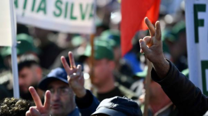 SILVA protestează față de reorganizarea Romsilva: „Guvernul pune în pericol pădurile statului”