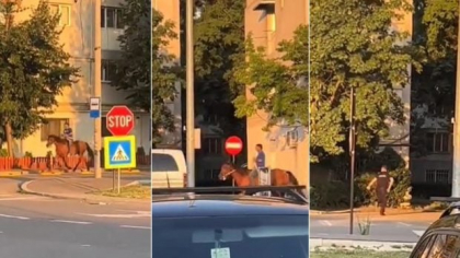Un bărbat călare pe cal a fost urmărit de polițiști înarmați pe străzile din Focșani