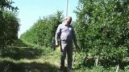 Fermierii afectați de înghețul din primăvară ar putea primi 3.000 de euro pe hectar de la Comisia Europeană