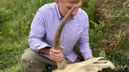 Un „craniu de unicorn” găsit lângă castelul lui Regele Arthur stârnește controverse: artefact arhaic sau farsă bine pusă la punct?