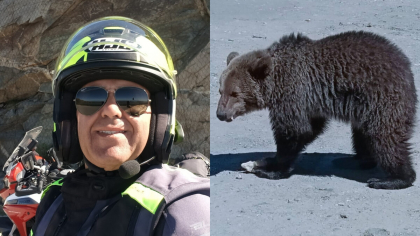 Ultimele clipe ale turistului italian ucis de ursoaică au fost terifiante: ”A fost atât de furioasă…”