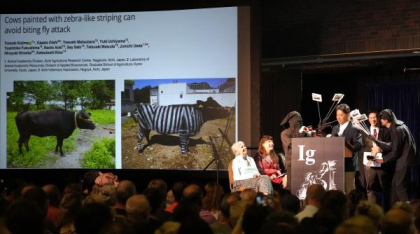 De la vaci vopsite ca zebre la șopârle care mănâncă pizza: cele mai trăsnite cercetări premiate la Ig Nobel
