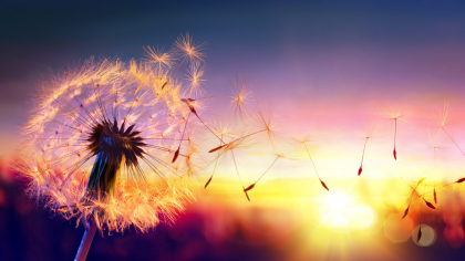 Zodiile care au șanse mari să își schimbe viața până la finalul lunii iulie 2025. Cum le influențează Mercur și Saturn retrograde