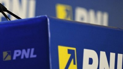 BREAKING: Liderii PNL decid în unanimitate să-l susţină pe Nicuşor Dan în turul 2