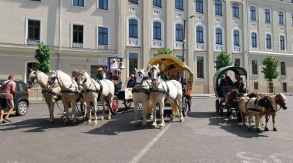 Caravana care transportă „Clopotul Păcii” de la Berlin la Ierusalim traversează România: 20 de cai și ponei trag cele 6 trăsuri