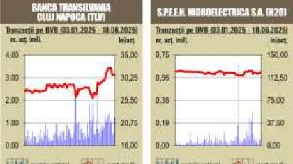 BVB Inchideri mixte pentru indici