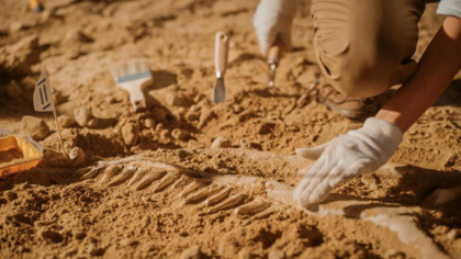 Descoperirea incredibilă făcută de arheologi în Ungaria. Sute de artefacte au fost scoase la lumină