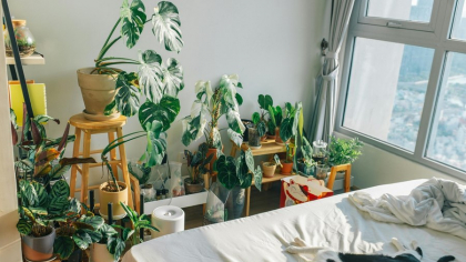 Ritualul care alungă răul din viața și casa ta. Transformă-ți casa într-un spațiu de liniște