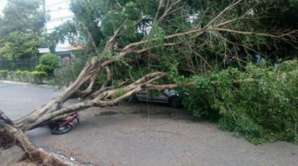 Vânt puternic în mai multe localități din Alba. Meteorologii au emis cod galben
