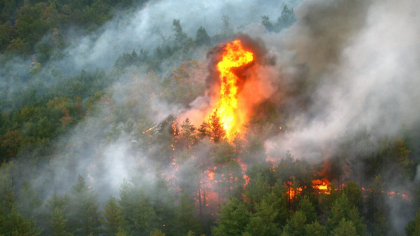 Macedonia de Nord declară stare de urgenţă din cauza incendiilor de pădure