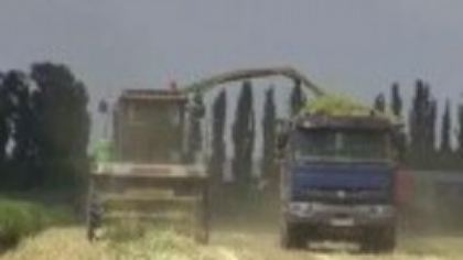 Mai mulți bani europeni și mai puține controale pentru micii fermieri. „Suntem bolnavi de birocrație”