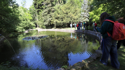 Transformarea celui mai vechi parc dendrologic. Locul de poveste cu sute de arbori uscați și doborâți de furtuni
