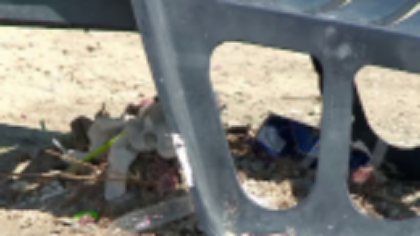 Vrem „o plajă ca afară” dar pe cele de la noi le sufocăm în gunoaie. Turiștii lasă în urmă zeci de kilograme de deșeuri pe zi