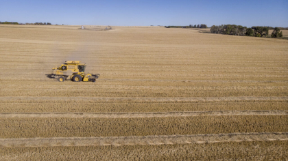 Washingtonul vrea să interzică investitorilor chinezi să cumpere terenuri agricole americane