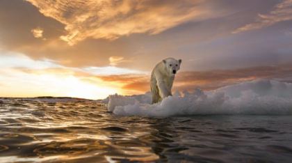 Termen limită pentru apocalipsa climatică: Planeta mai are doi ani să limiteze încălzirea globală la 1,5°C