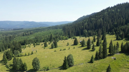 Bilbor &amp; Toplița – colțuri de liniște pentru o vară perfectă
