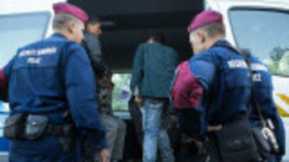 Cinci români aveau fabrici ilegale de țigări în Ungaria. Budapesta anunță cea mai mare captură ”din toate timpurile”