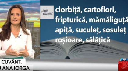 Top 5 al domeniilor în care ne-au invadat diminutivele. De la ”punguță” și ”facturică”, la ”genuţe” și ”lunițe”