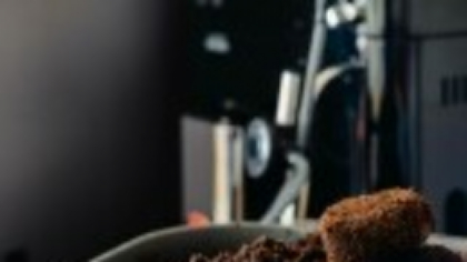 O companie românească ar putea revoluționa piața construcțiilor, cu un material ecologic făcut din zaț de cafea și ciuperci