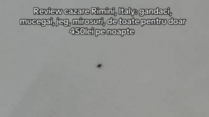 Ce a găsit o româncă într-o cameră de hotel pentru care a plătit 450 de lei pe noapte, în Italia: „Gândacii sunt de-ai casei”