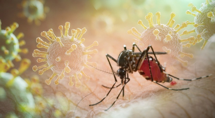 Avertisment pentru turiști. Virus tropical care poate duce la afectarea organelor, depistat într-o destinație populară de vacanță