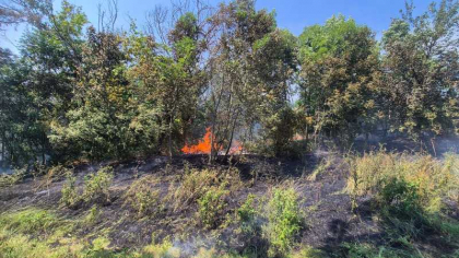 Incendiu la Grădina Botanică
