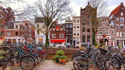 Scări salvatoare pentru pisicile care cad în canale! Orașul Amsterdam a investit 116.400 $ în acest proiect
