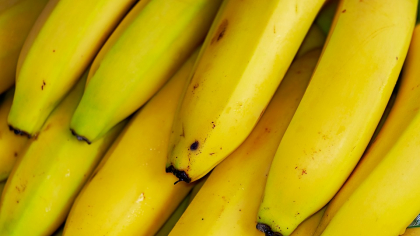 Rusia confiscă cea mai mare cantitate de droguri din 2025: 820 de kilograme de cocaină provenind din America Latină, ascunse în containere cu banane