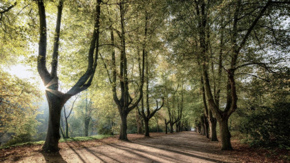Animalul care doarme cu un ochi deschis. Mulți se îngrozesc când îl văd