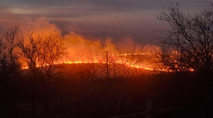 Incendii de vegetație în Dolj și Mehedinți: Culturi de grâu distruse de flăcări