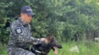 Doi mascați din satul Girov au fost prinși de un câine polițist în timp ce își dădeau foc la haine ca să scape de probe