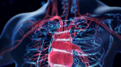 Ce vârstă are inima ta? A fost inventat un instrument care îți dezvăluie cât de repede îmbătrânește de fapt