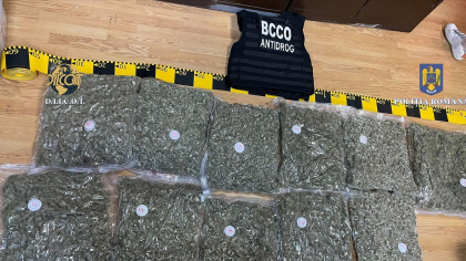 Captură importantă de droguri la Cluj Napoca. Bărbat prins cu 11,6 kilograme de canabis