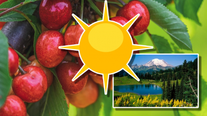 Weekend cu vreme rece, cu ploi şi vânt. La munte va ninge. Când se înclăzește. Prognoza meteo pentru 19 mai – 16 iunie 2025