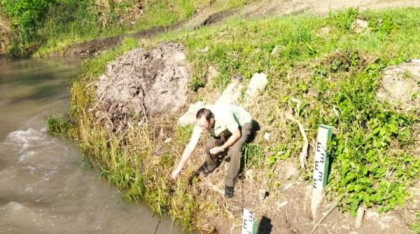 Salinitatea pe râurile Târnava Mare, Târnava Mică și Mureș rămâne ridicată