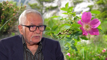 Horoscopul FLORILOR, realizat de Mihai Voropchievici. Zodiile care au parte de un destin de poveste, belșug și dragoste