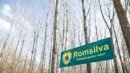 Nereguli grave găsite în urma controalelor la Romsilva. Mircea Fechet: Ani de risipă şi de haos