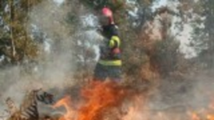 Incendiu de vegetaţie în sudul Franţei. Aproape 1.000 de pompieri au fost mobilizaţi