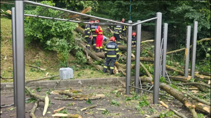 Un tânăr de 27 de ani a murit după ce un copac a căzut peste el, în Braşov, pe „Aleea de sub Tâmpa”