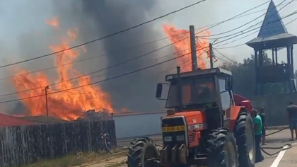 România arde la propriu. VIDEO cu incendiile de vegetaţie care s-au întins pe zeci de hectare