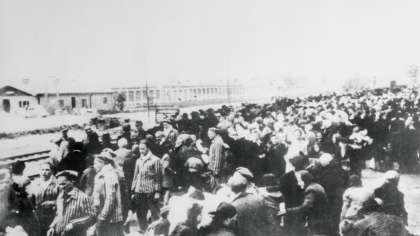 Ucigașul în halat alb care momea copiii cu ciocolată. Adevărul despre experimentele horror de la Auschwitz